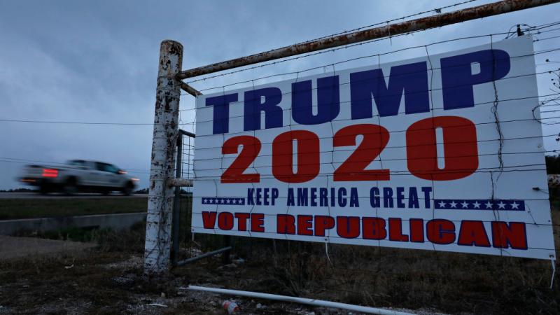 Trump reelect