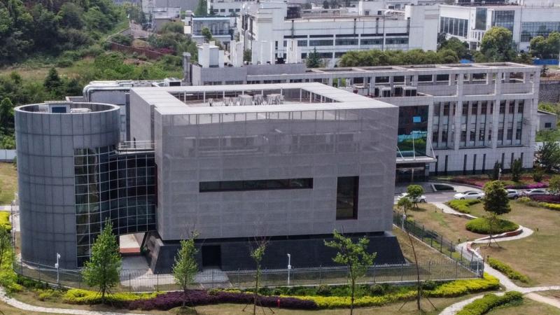 Wuhan lab