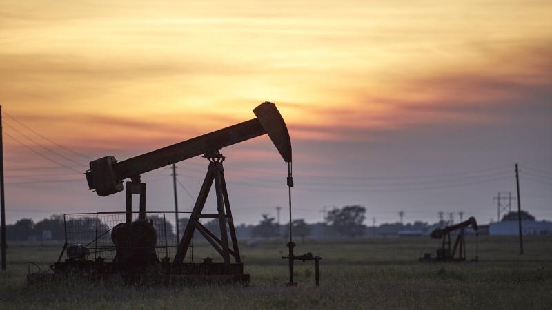 The plunge in U.S. crude oil prices this week reverberated across global financial markets.
