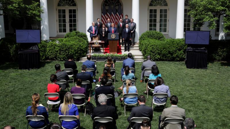 White House 