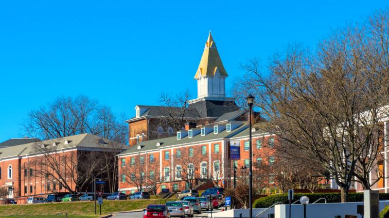 The University of North Georgia