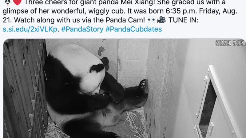 Mei Xiang