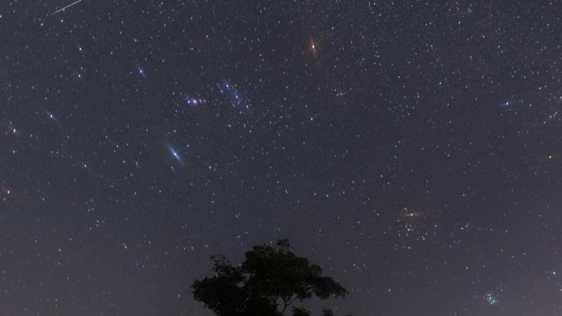 The night sky