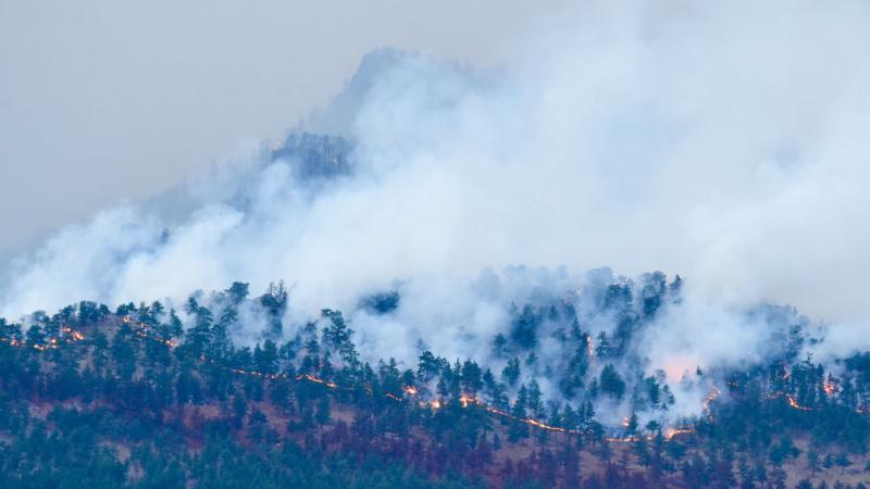 Cal-Wood Fire in Boulder