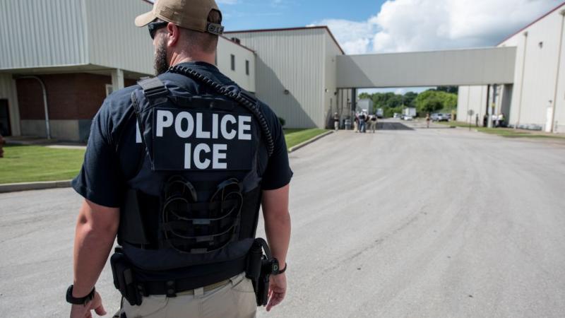 ICE special agent in June 2018