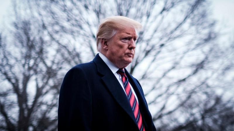 Then-President Trump in January 2019