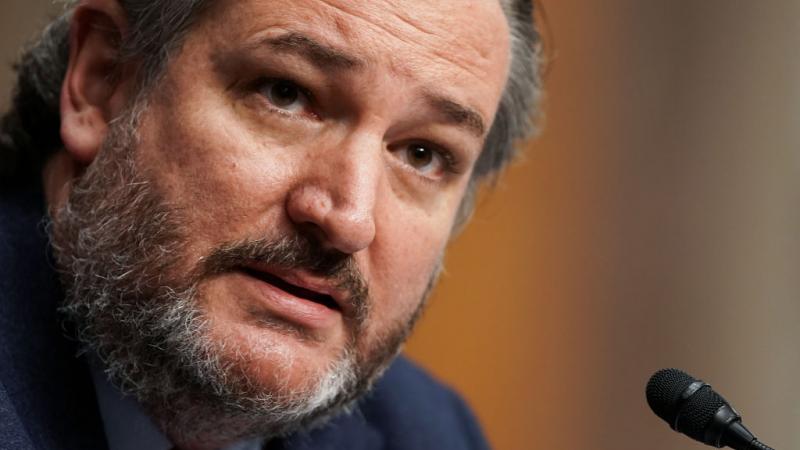 Sen. Ted Cruz on January 27, 2021