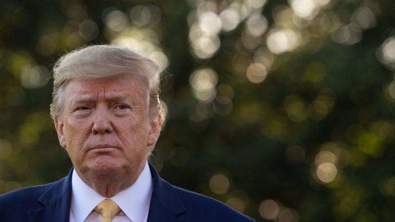 President Trump in 2019