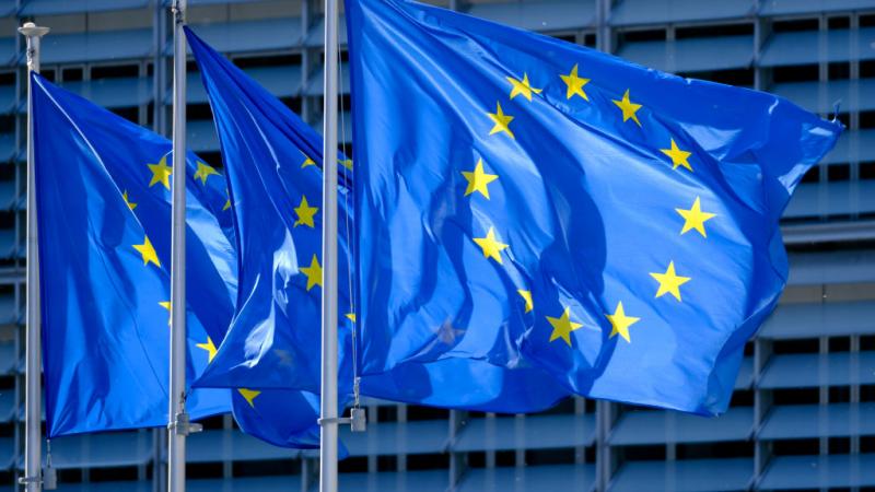 European Union flags