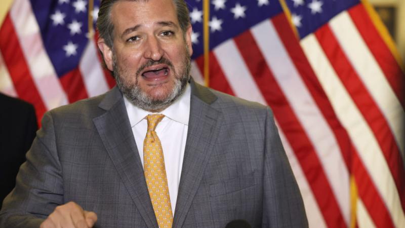 Sen. Ted Cruz on March 24, 2021