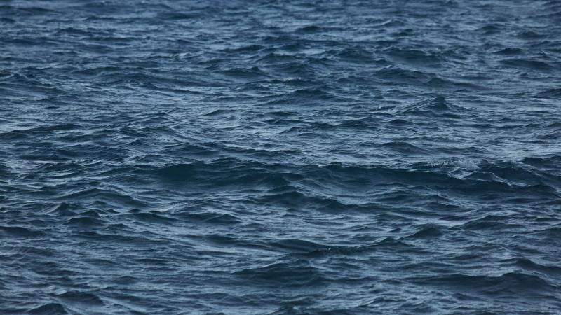 The ocean