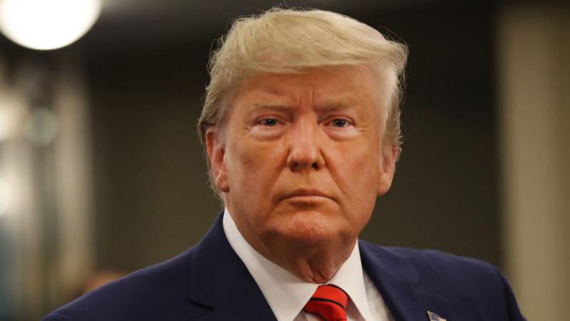 Then-President Trump speaks to the UN General Assembly in September 2019
