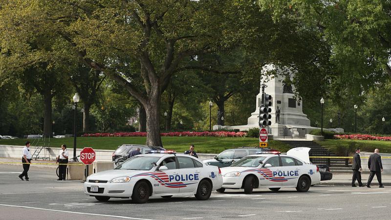 D.. police cars 