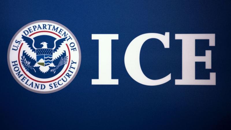 ICE seal in 2014