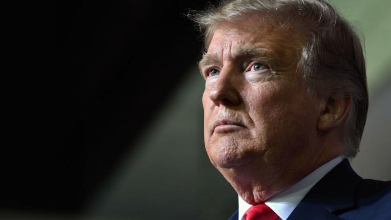 Then-President Trump in February 2019
