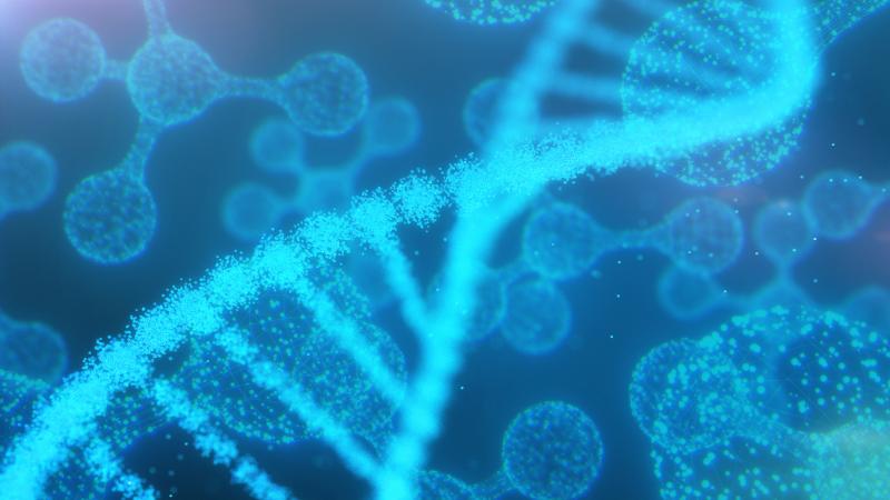 A DNA strand