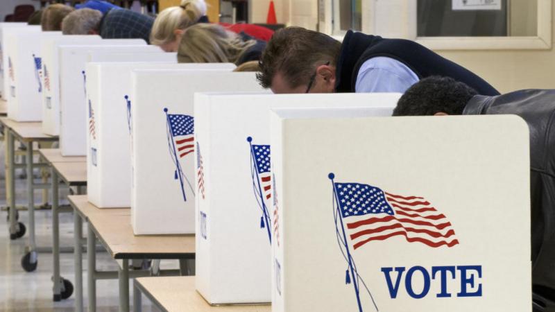 Voters in Virginia in 2008