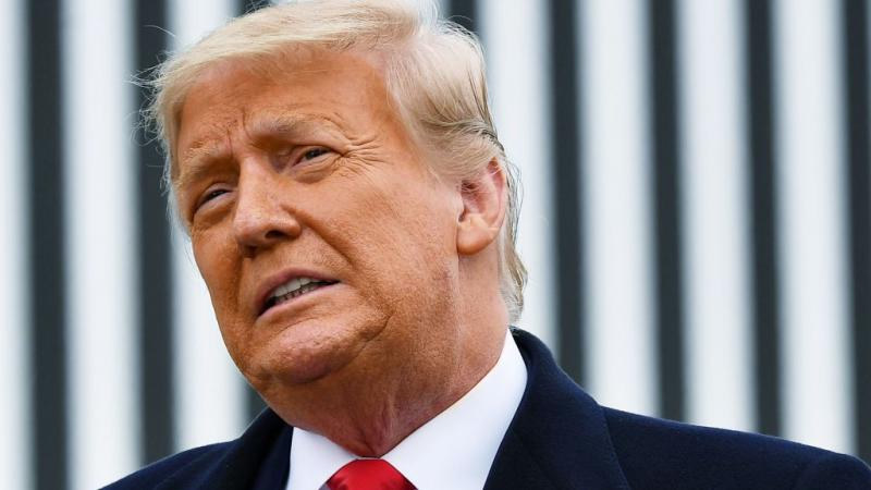 President Trump on January 12, 2021