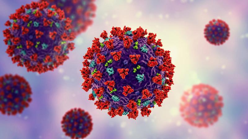 Illustration of coronaviruses