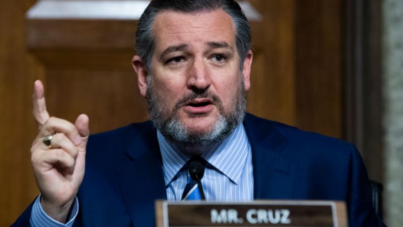 Cruz on Wednesday 