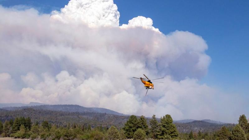 Oregon wildfire relief.