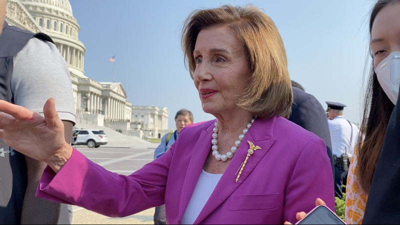 House Speaker Nancy Pelosi 
