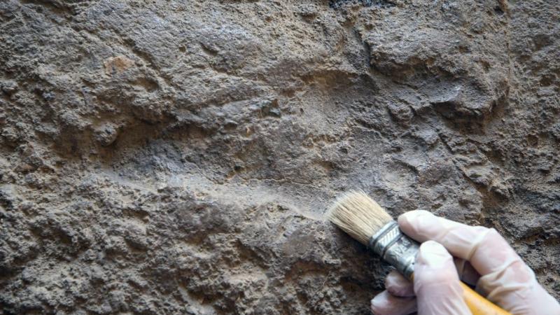 An ancient footprint found in Turkey