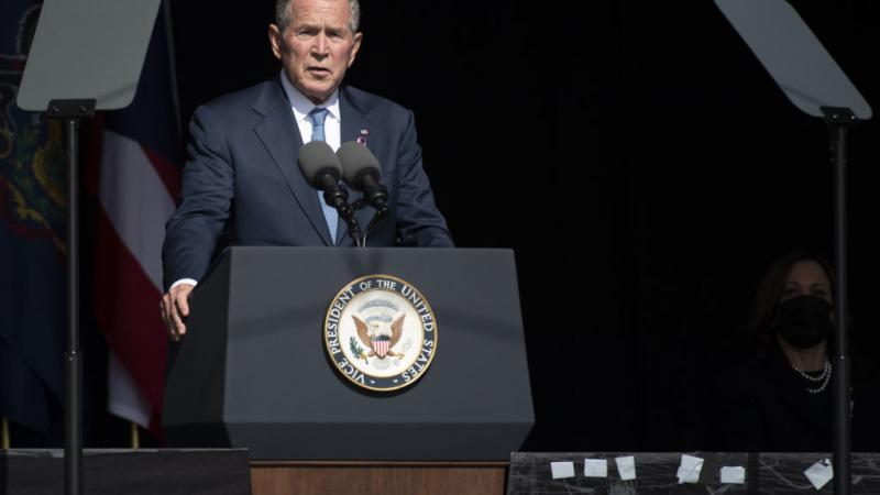 Bush 
