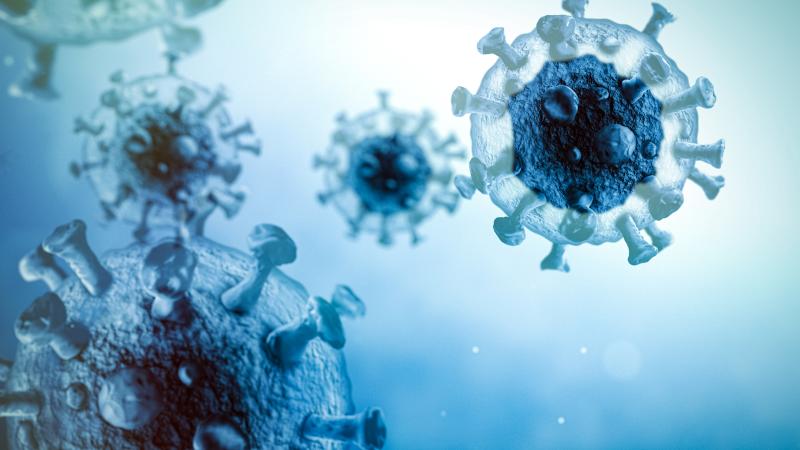 Illustration of a coronavirus