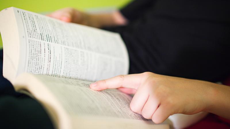 Person reading dictionary