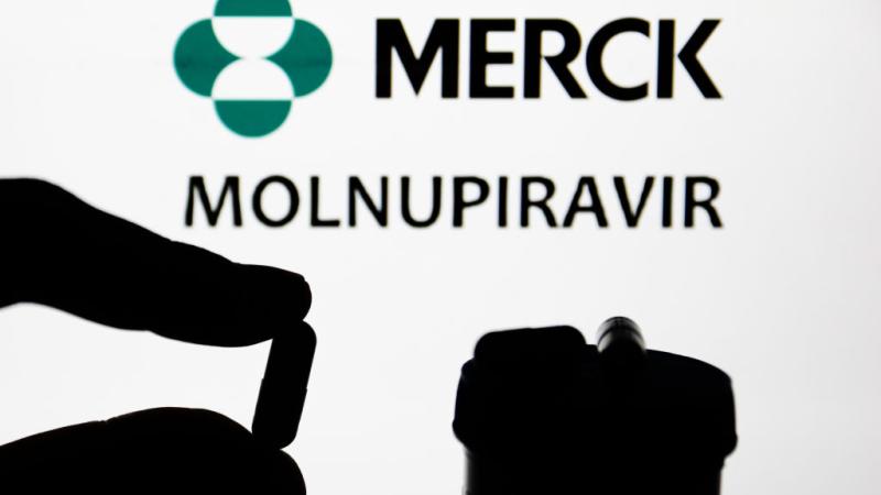 COVID pill Molnupiravir