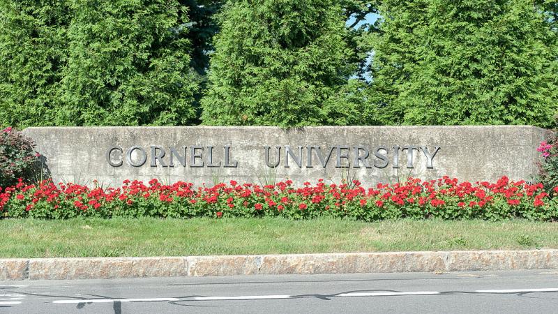 cornell 