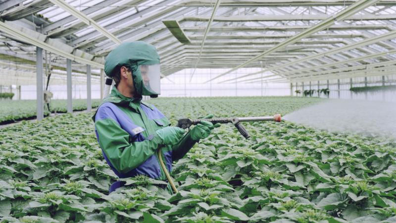 Pesticide gun