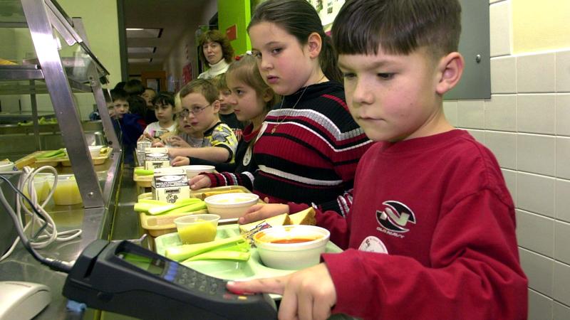 school lunch