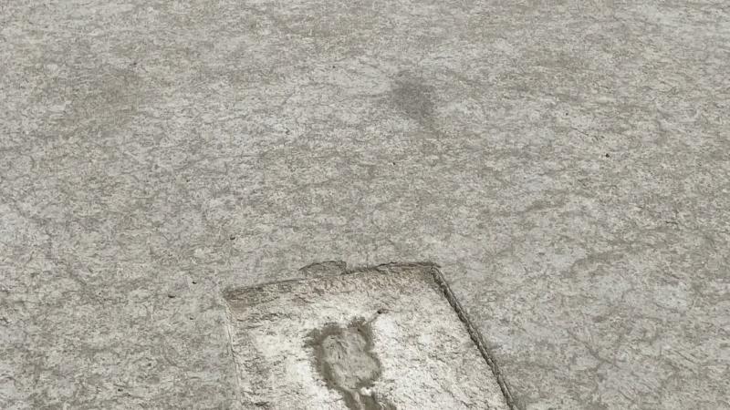 The tracks