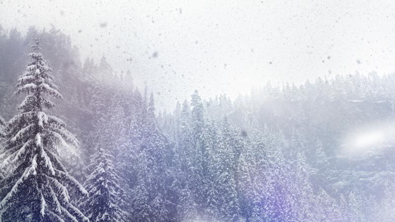 Winter