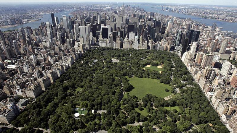 Central Park, New York City, July 2007