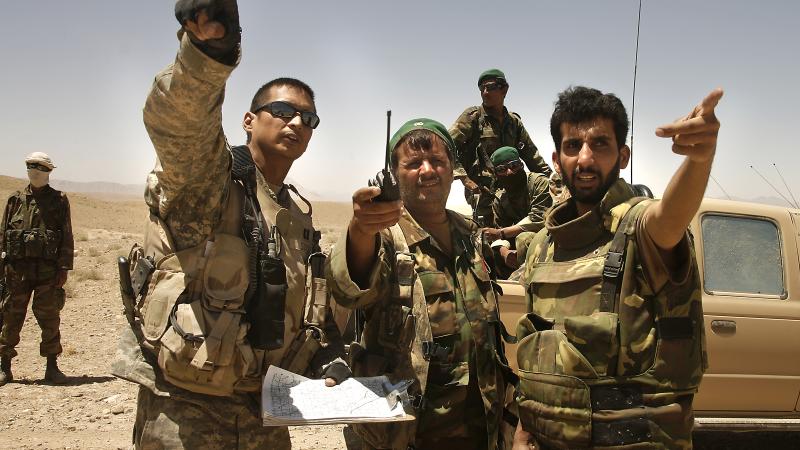 afghan translaotr