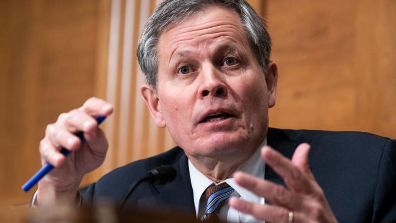Steve Daines