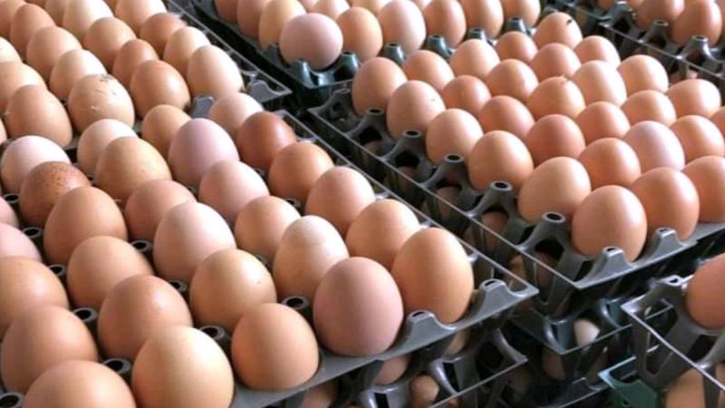 Eggs