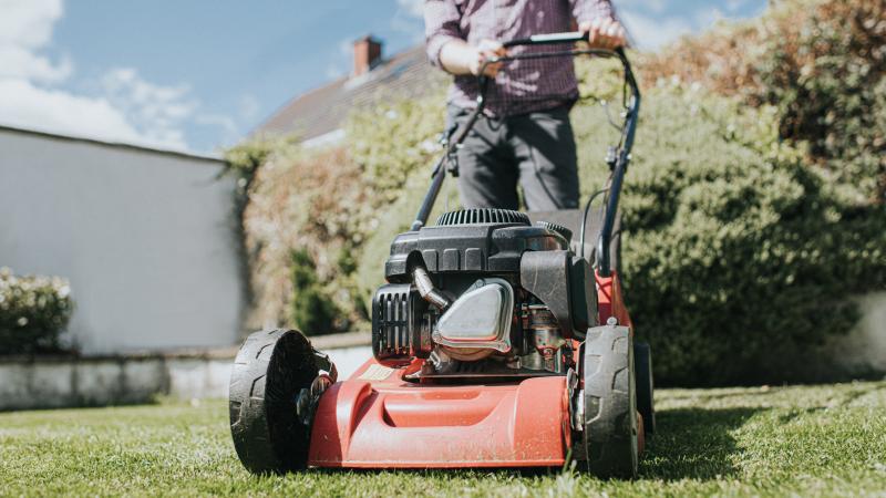 Mowing the lawn
