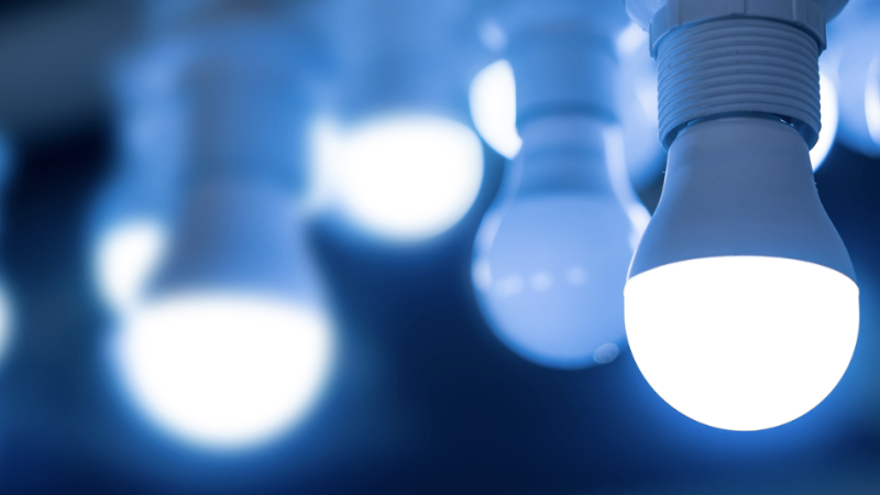 LED bulbs