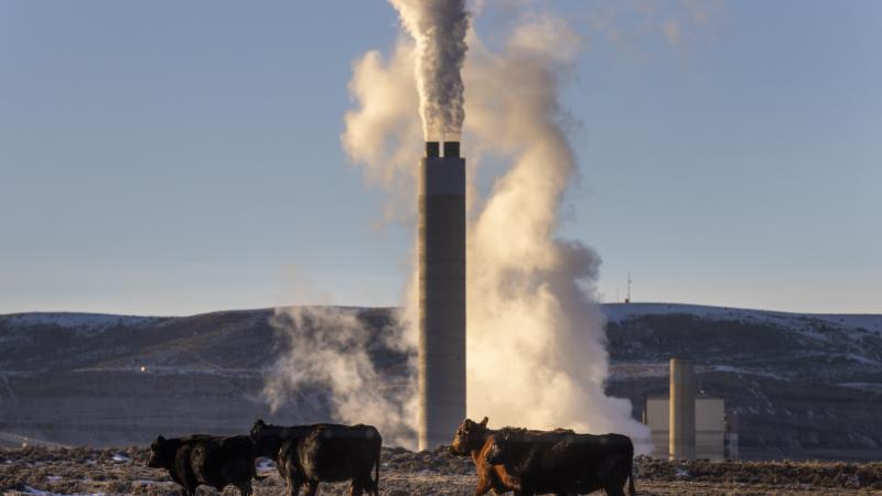 Cowboy State coal