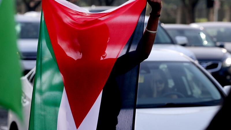 Palestine protest, Los Angeles, Nov. 4, 2023