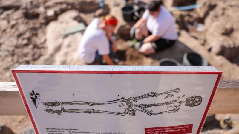 Archaeological dig