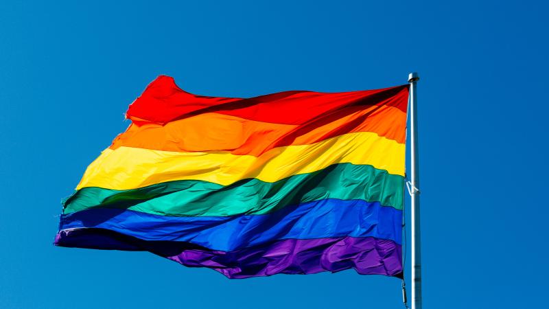 Rainbow flag