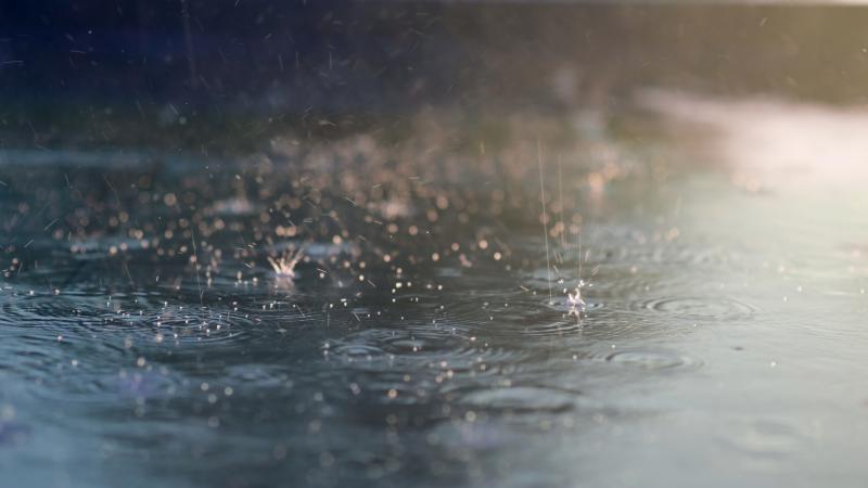 rainfall