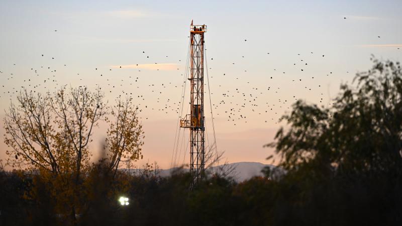 Colorado oil
