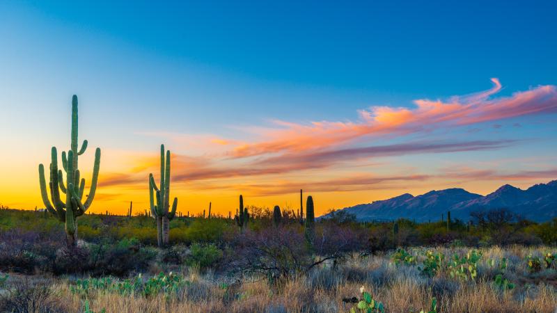 Arizona