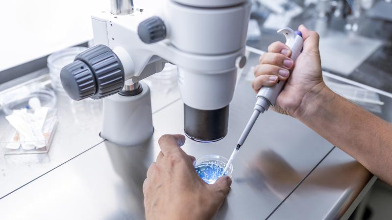 IVF